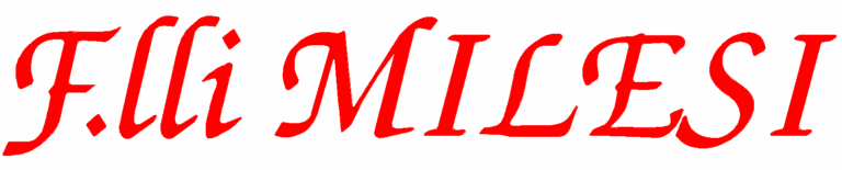 Logo senza sfondo